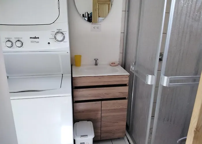 Container Bambi