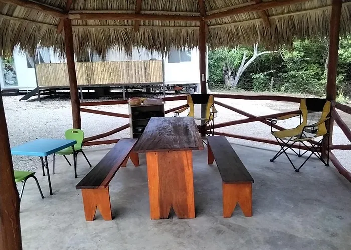 Container Bambi * Tamarindo